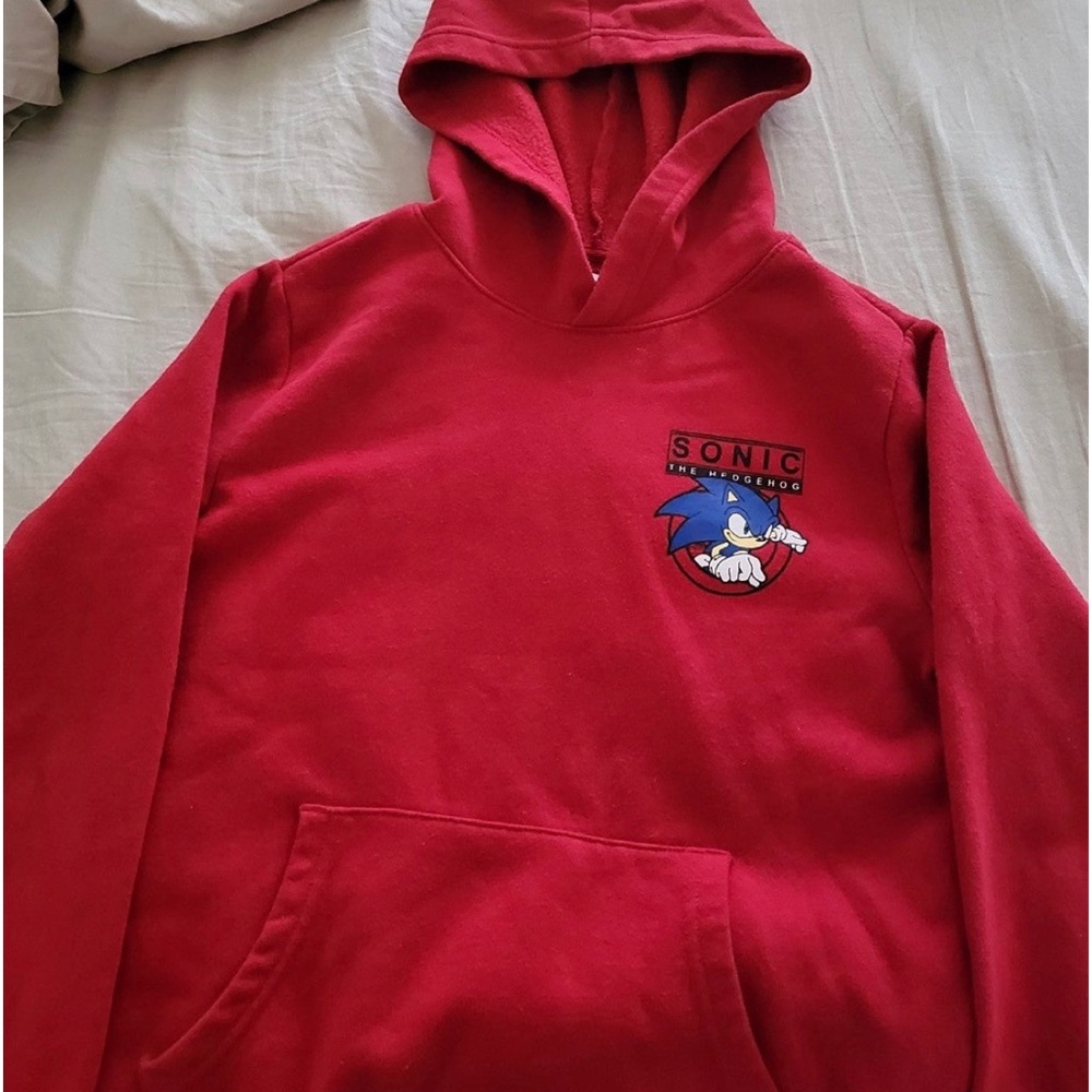 Sonic Hoodie